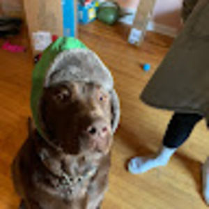 Meet your Posher, Rebecca